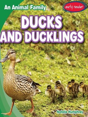 cover image of Ducks and Ducklings